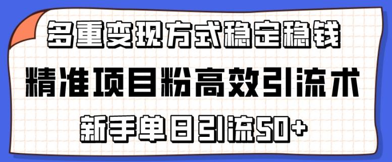 精准项目粉高效引流术，新手单日引流50+，多重变现方式稳定赚钱【揭秘】-云创智库