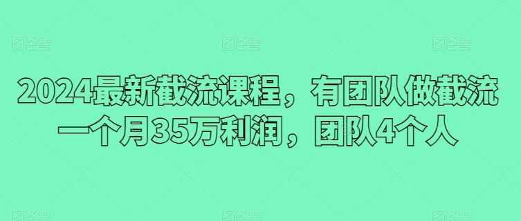 2024最新截流课程，有团队做截流一个月35万利润，团队4个人-云创智库