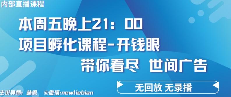 4.26日内部回放课程《项目孵化-开钱眼》赚钱的底层逻辑【揭秘】-云创智库