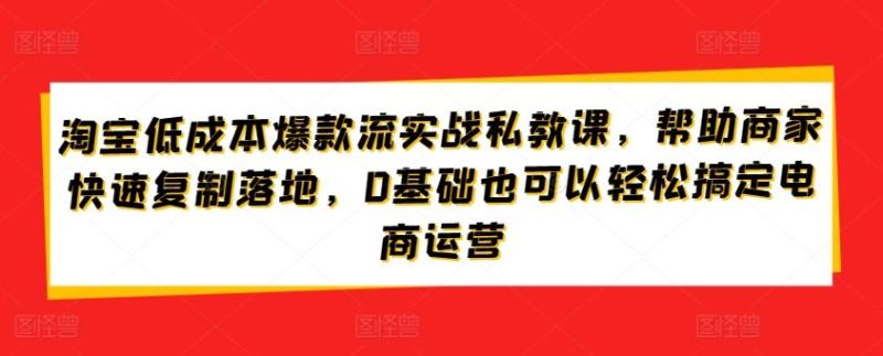 淘宝低成本爆款流实战私教课，帮助商家快速复制落地，0基础也可以轻松搞定电商运营-云创智库