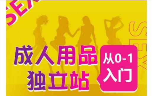 成人用品独立站从0-1入门，成品独立站运营全流程教学，七大好卖成品独立站推荐-云创智库