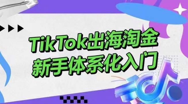 TikTok出海淘金，新手体系化入门，零基础快速入门，掌握短视频、直播带货等引流到变现的知识-云创智库