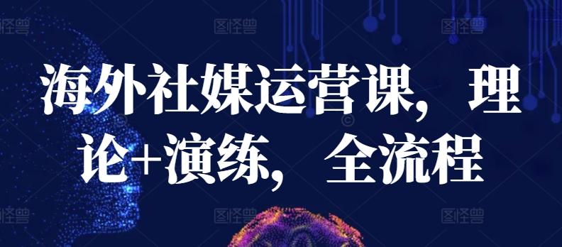 海外社媒运营课，理论+演练，全流程-云创智库