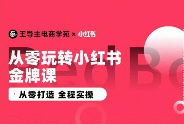 王导主·小红书电商运营实操课，​从零打造  全程实操-云创智库
