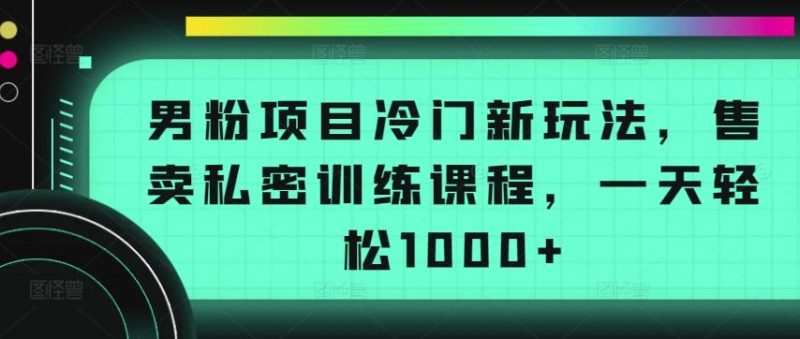 男粉项目冷门新玩法，售卖私密训练课程，一天轻松1000+【揭秘】-云创智库