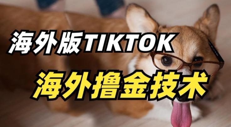 抖音海外版tiktok撸金技术，这个风口行业，赚钱真的不难【揭秘】-云创智库