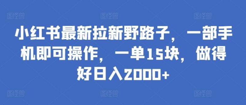 小红书最新拉新野路子，一部手机即可操作，一单15块，做得好日入2000+【揭秘】-云创智库