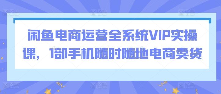 闲鱼电商运营全系统VIP实操课，1部手机随时随地电商卖货-云创智库