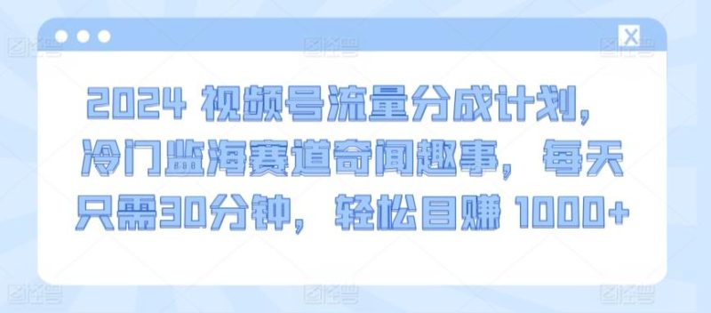 2024视频号流量分成计划，冷门监海赛道奇闻趣事，每天只需30分钟，轻松目赚 1000+【揭秘】-云创智库