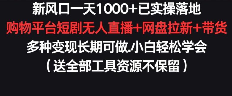 新风口一天1000+已实操落地购物平台短剧无人直播+网盘拉新+带货多种变现长期可做【揭秘】-云创智库