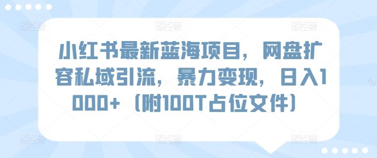 小红书最新蓝海项目，网盘扩容私域引流，暴力变现，日入1000+(附100T占位文件)【揭秘】-云创智库