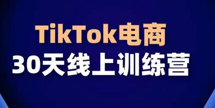 TikTok电商带货30天线上课，不可错过的全球流量洼地！-云创智库