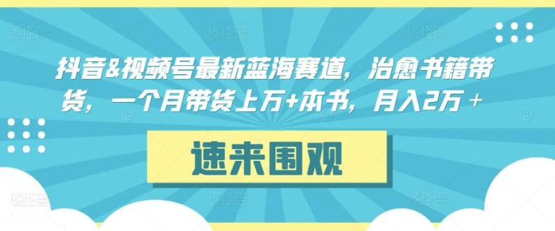 抖音&视频号最新蓝海赛道，治愈书籍带货，一个月带货上万+本书，月入2万＋【揭秘】-云创智库
