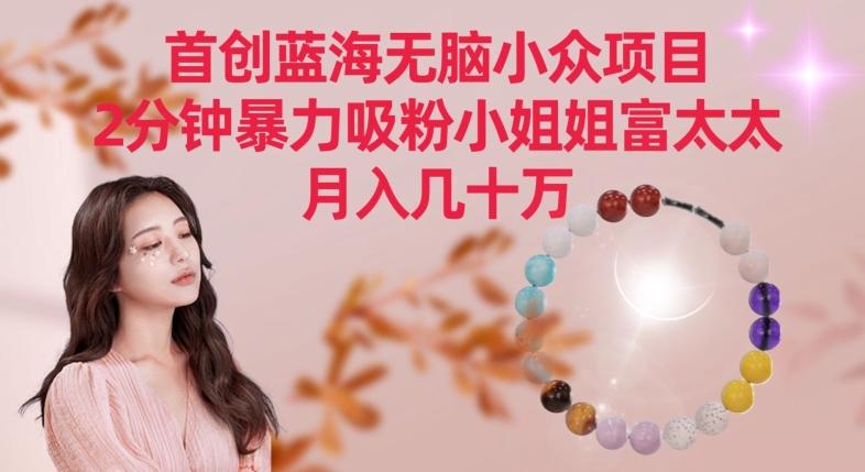 首创蓝海无脑小众项目，2分钟暴力吸粉小姐姐富太太，月入几十万【揭秘】-云创智库
