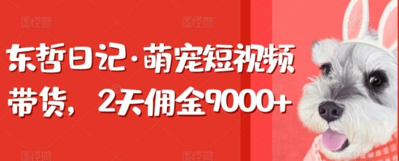 东哲日记·萌宠短视频带货，2天佣金9000+-云创智库