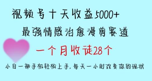 十天收益5000+，多平台捞金，视频号情感治愈漫剪，一个月收徒28个，小白一部手机轻松上手【揭秘】-云创智库