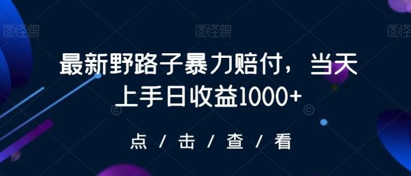 最新野路子暴力赔付，当天上手日收益1000+【仅揭秘】-云创智库