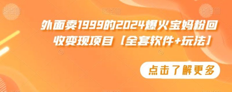 外面卖1999的2024爆火宝妈粉回收变现项目【全套软件+玩法】【揭秘】-云创智库