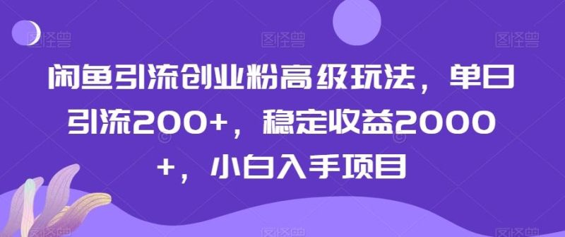 闲鱼引流创业粉高级玩法，单日引流200+，稳定收益2000+，小白入手项目-云创智库