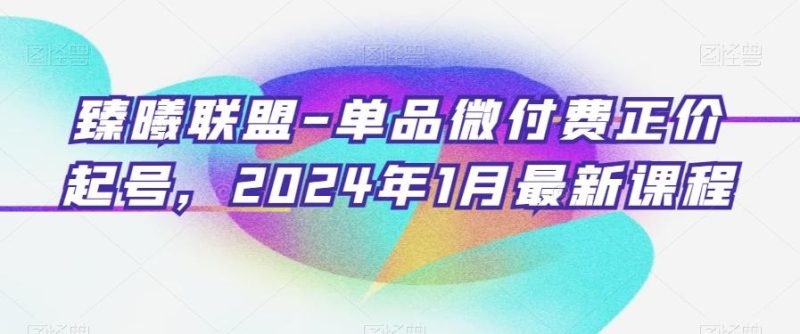 臻曦联盟-单品微付费正价起号，2024年1月最新课程-云创智库