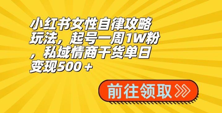 小红书女性自律攻略玩法，起号一周1W粉，私域情商干货单日变现500＋-云创智库