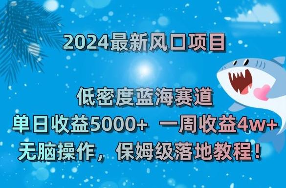 2024最新风口项目，低密度蓝海赛道，单日收益5000+，一周收益4w+！【揭秘】-云创智库