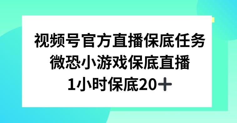 视频号直播任务，微恐小游戏，1小时20+【揭秘】-云创智库