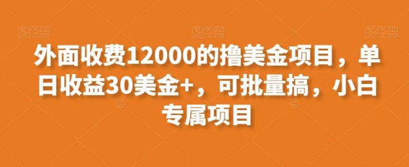 外面收费12000的撸美金项目，单日收益30美金+，可批量搞，小白专属项目-云创智库