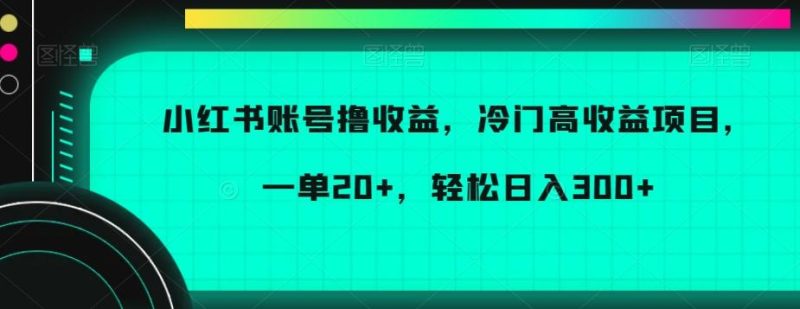 小红书账号撸收益，冷门高收益项目，一单20+，轻松日入300+【揭秘】-云创智库
