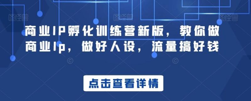 商业IP孵化训练营新版，教你做商业Ip，做好人设，流量搞好钱-云创智库