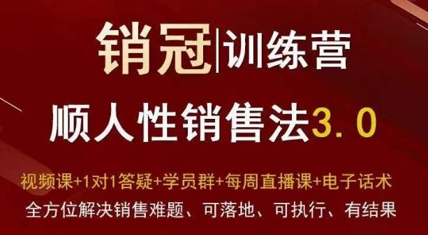 爆款！销冠训练营3.0之顺人性销售法，全方位解决销售难题、可落地、可执行、有结果-云创智库