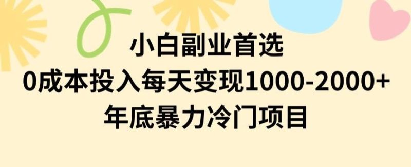 小白副业首选，0成本投入，每天变现1000-2000年底暴力冷门项目【揭秘】-云创智库