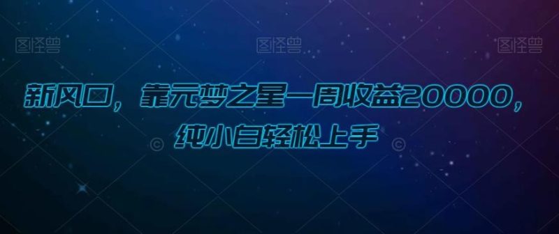 新风口，靠元梦之星一周收益20000，纯小白轻松上手-云创智库