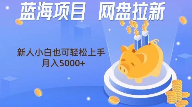 蓝海项目网盘拉新，新人小白也可操作，每月收入5000+-云创智库