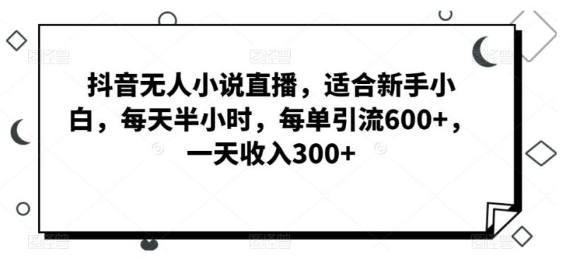 抖音无人小说直播，适合新手小白，每天半小时，每单引流600+，一天收入300+-云创智库