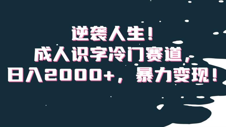 逆袭人生！成人识字冷门赛道，日入2000+，暴力变现！【揭秘】-云创智库