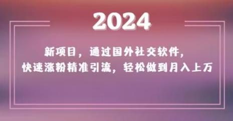 2024新项目，通过国外社交软件，快速涨粉精准引流，轻松做到月入上万【揭秘】-云创智库