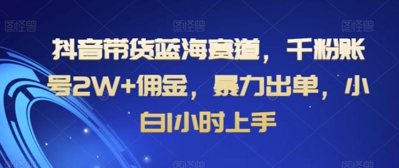 抖音带货蓝海赛道，千粉账号2W+佣金，暴力出单，小白1小时上手【揭秘】-云创智库