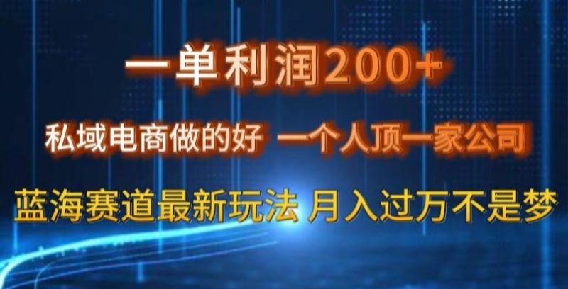 一单利润200私域电商做的好，一个人顶一家公司蓝海赛道最新玩法【揭秘】-云创智库