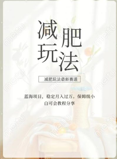 减肥流量主新玩法，轻松月入1W，可矩阵操作收入翻倍-云创智库