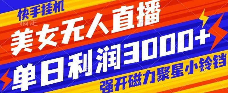 快手挂机，美女无人直播，强开磁力聚星小铃铛，日入3000+-云创智库