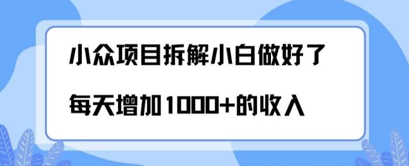 小众项目拆解，小白做好了每天可增加1000多的收入-云创智库