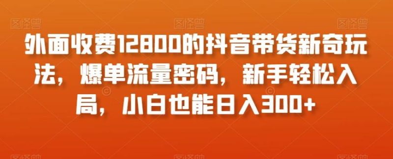外面收费12800的抖音带货新奇玩法，爆单流量密码，新手轻松入局，小白也能日入300+【揭秘】-云创智库