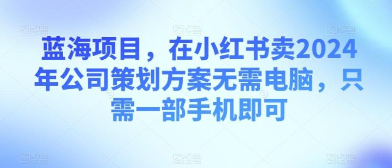 蓝海项目，在小红书卖2024年公司策划方案无需电脑，只需一部手机即可-云创智库
