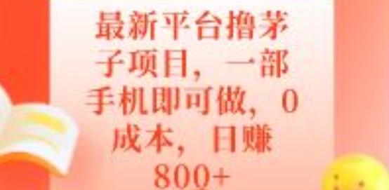 最新平台撸茅子项目，一部手机即可做，0成本，日赚800+-云创智库