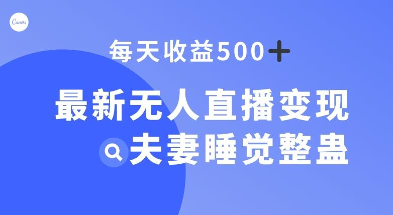 最新无人直播变现，夫妻睡觉整蛊，每天躺赚500+【揭秘】-云创智库