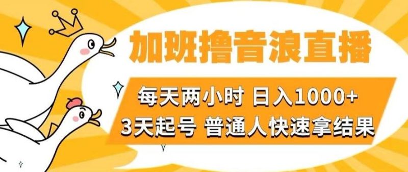 加班撸音浪直播，每天两小时，日入1000+，直播话术才3句，3天起号，普通人快速拿结果【揭秘】-云创智库