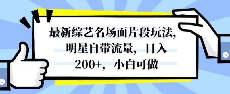 最新综艺名场面片段玩法，明星自带流量，日入200+，小白可做【揭秘】-云创智库