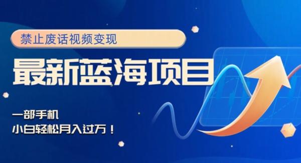 最新蓝海项目，靠禁止废话视频变现，一部手机，小白轻松月入过万！-云创智库