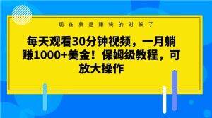 每天观看30分钟视频，一月躺赚1000+美金！保姆级教程，可放大操作【揭秘】-云创智库